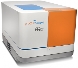 WES system by ProteinSimple